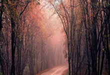 我国男双组合高永杰窪纯佑晋级瑞昌大师赛16强.