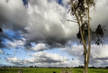 [网球]张之臻／多迪格止步鹿特丹站男双首轮.