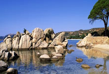 [天下足球]诺丁汉森林主场战胜曼城.